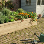 Letto vegetale / 3,0 x 1,125 x 0,45 m