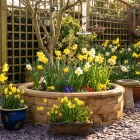 Letto rialzato circolare più venduto / 1,23 x 0,35 m