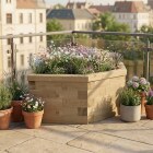 Aiuola esagonale di fiori selvatici / 1,55 x 0,924 x 0,55 m