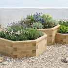 Grande letto rialzato ottagonale multilivello / 3,272 x 2,248 x 0,55 m