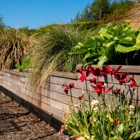 Come si trasformano le strutture WoodBlocX nel tempo