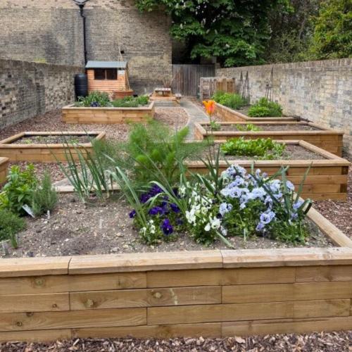 Il progetto del giardino comunitario dell'Emmanuel College di Cambridge