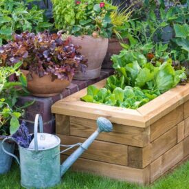 idee per fioriere rialzate