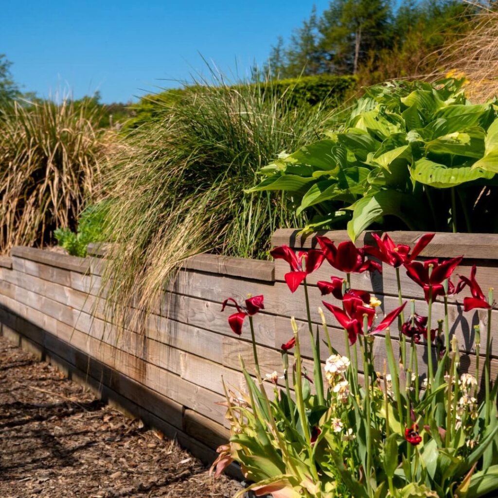 Come si trasformano le strutture WoodBlocX nel tempo