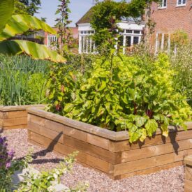 Orti rialzati multipli